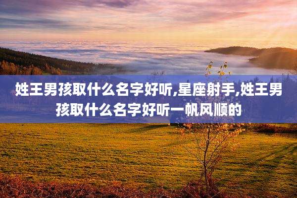 姓王男孩取什么名字好听,星座射手,姓王男孩取什么名字好听一帆风顺的