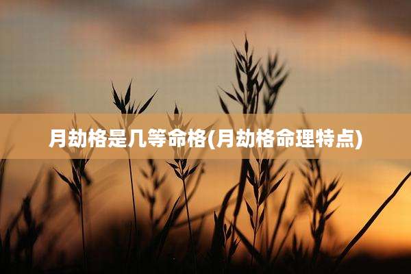 月劫格是几等命格(月劫格命理特点)