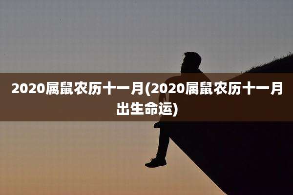2020属鼠农历十一月(2020属鼠农历十一月出生命运)