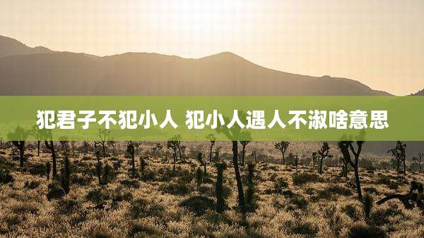 犯君子不犯小人 犯小人遇人不淑啥意思