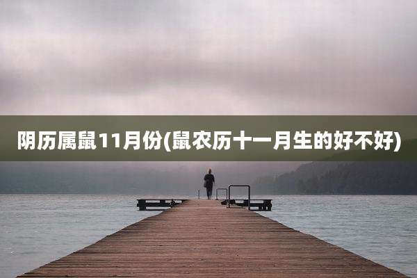 阴历属鼠11月份(鼠农历十一月生的好不好)