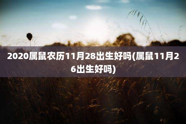 2020属鼠农历11月28出生好吗(属鼠11月26出生好吗)