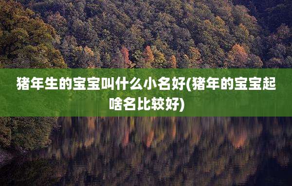 猪年生的宝宝叫什么小名好(猪年的宝宝起啥名比较好)