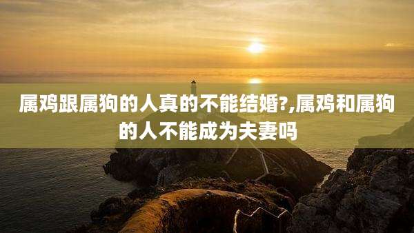 属鸡跟属狗的人真的不能结婚?,属鸡和属狗的人不能成为夫妻吗