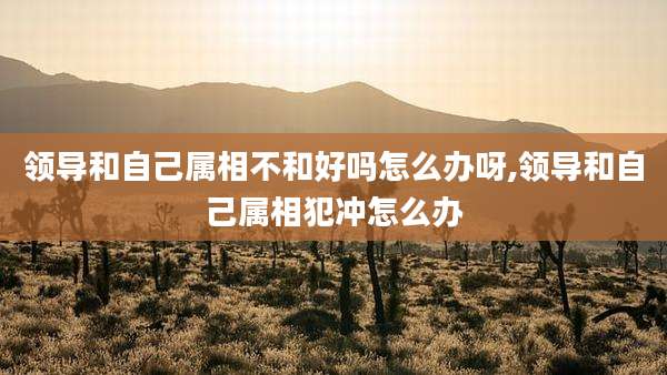 领导和自己属相不和好吗怎么办呀,领导和自己属相犯冲怎么办