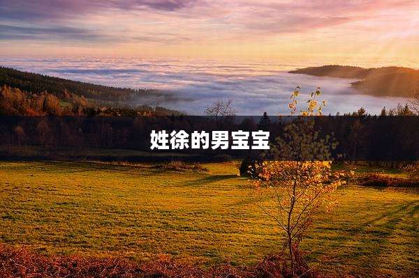 姓徐的男宝宝