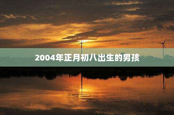 2004年正月初八出生的男孩