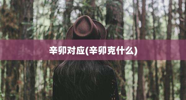 辛卯对应(辛卯克什么)