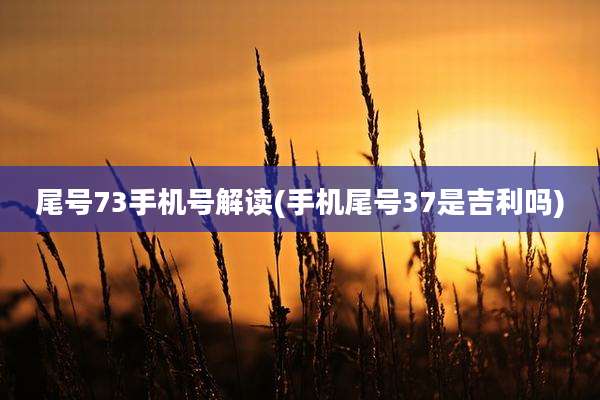 尾号73手机号解读(手机尾号37是吉利吗)