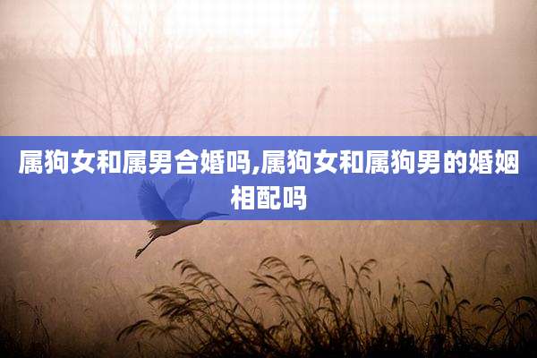 属狗女和属男合婚吗,属狗女和属狗男的婚姻相配吗