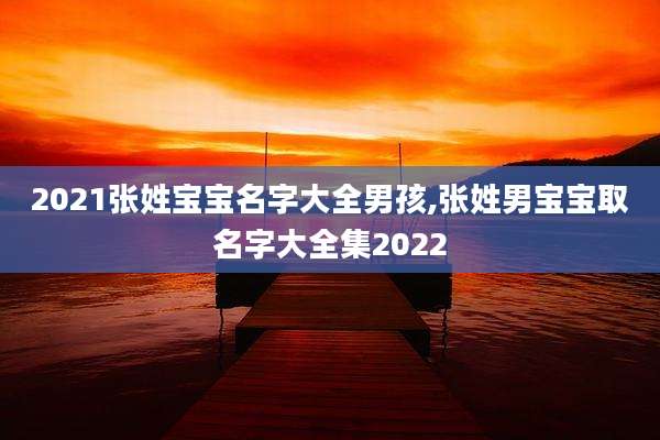 2021张姓宝宝名字大全男孩,张姓男宝宝取名字大全集2022