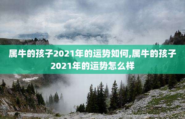 属牛的孩子2021年的运势如何,属牛的孩子2021年的运势怎么样