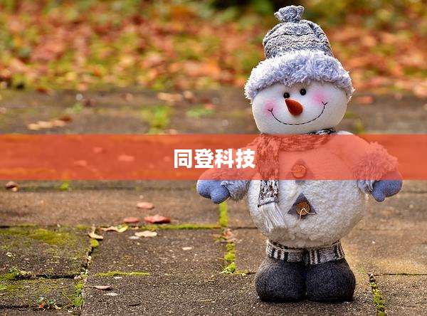同登科技
