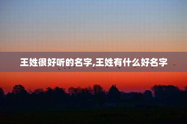 王姓很好听的名字,王姓有什么好名字