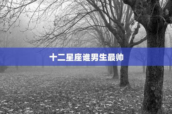 十二星座谁男生最帅