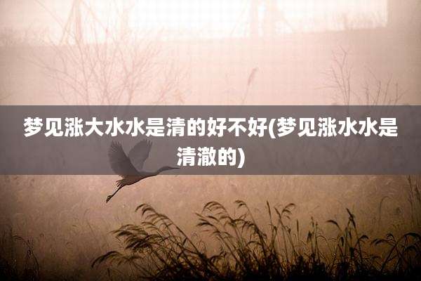 梦见涨大水水是清的好不好(梦见涨水水是清澈的)
