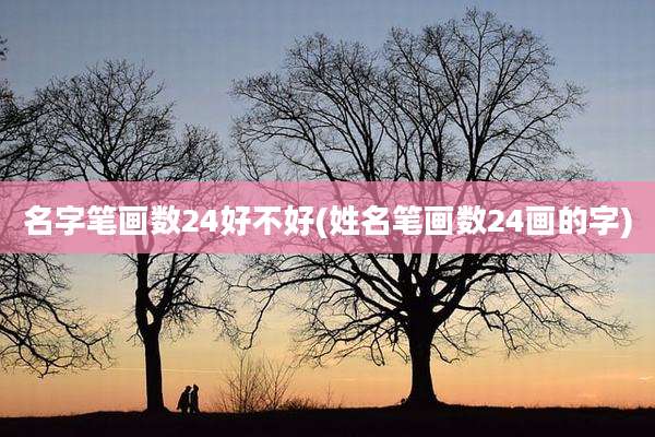 名字笔画数24好不好(姓名笔画数24画的字)