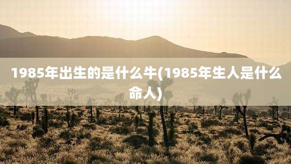 1985年出生的是什么牛(1985年生人是什么命人)