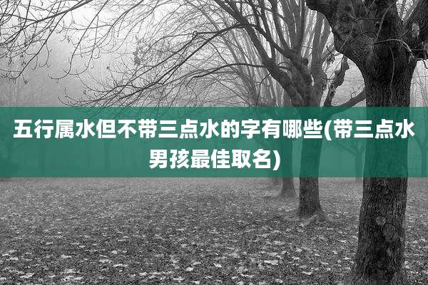五行属水但不带三点水的字有哪些(带三点水男孩最佳取名)