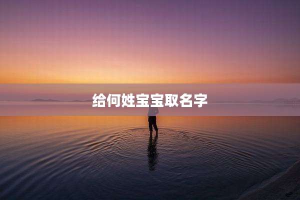 给何姓宝宝取名字