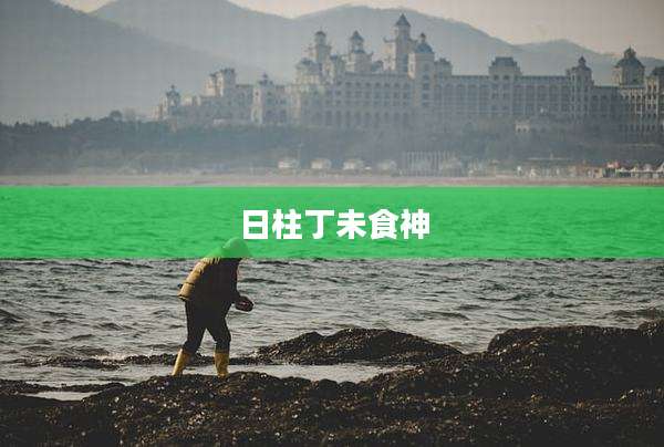 日柱丁未食神