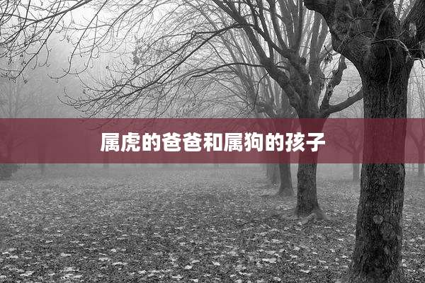 属虎的爸爸和属狗的孩子