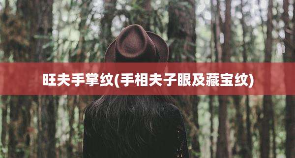 旺夫手掌纹(手相夫子眼及藏宝纹)