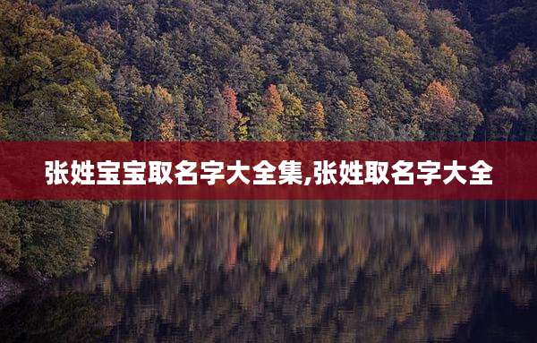 张姓宝宝取名字大全集,张姓取名字大全