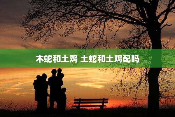 木蛇和土鸡 土蛇和土鸡配吗