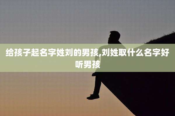 给孩子起名字姓刘的男孩,刘姓取什么名字好听男孩