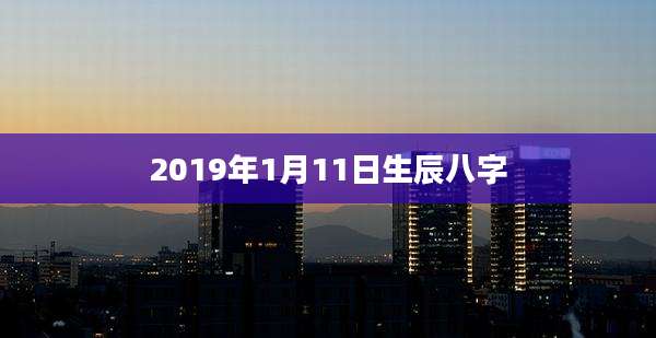 2019年1月11日生辰八字