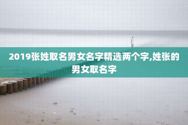 2019张姓取名男女名字精选两个字,姓张的男女取名字