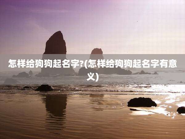 怎样给狗狗起名字?(怎样给狗狗起名字有意义)