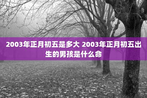 2003年正月初五是多大 2003年正月初五出生的男孩是什么命