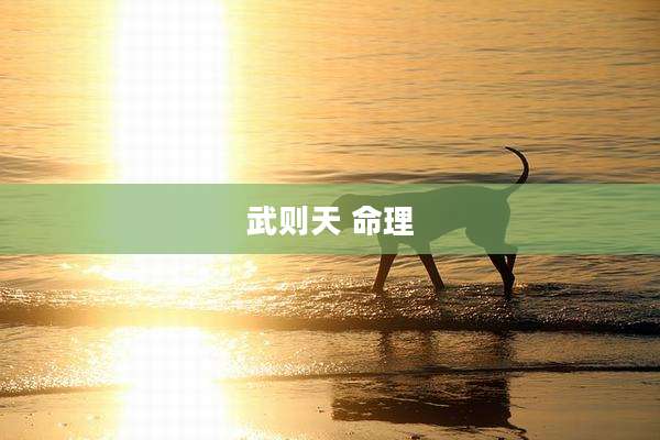 武则天 命理