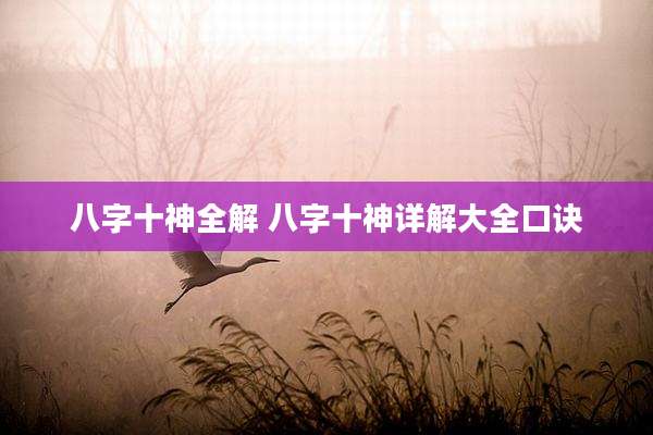 八字十神全解 八字十神详解大全口诀