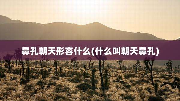 鼻孔朝天形容什么(什么叫朝天鼻孔)