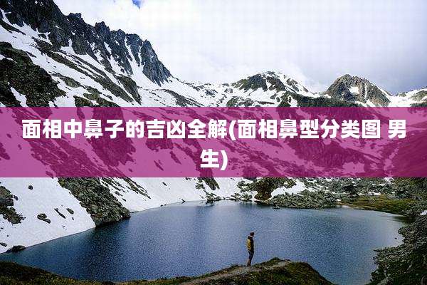 面相中鼻子的吉凶全解(面相鼻型分类图 男生)