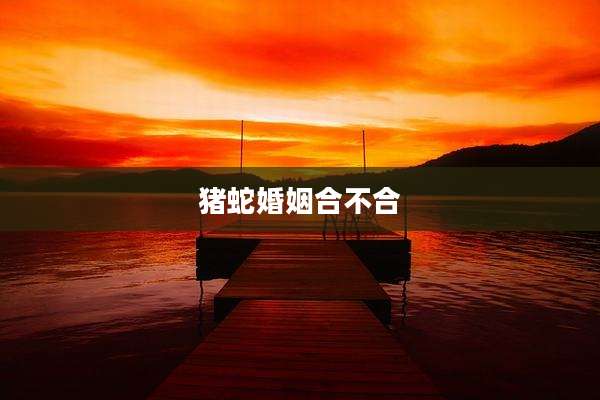猪蛇婚姻合不合