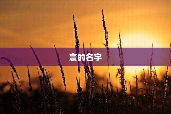 寰的名字