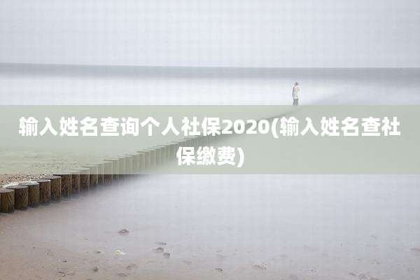 输入姓名查询个人社保2020(输入姓名查社保缴费)