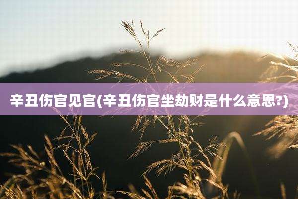 辛丑伤官见官(辛丑伤官坐劫财是什么意思?)
