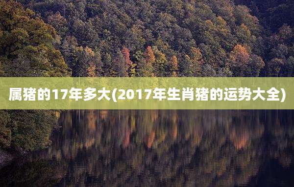 属猪的17年多大(2017年生肖猪的运势大全)