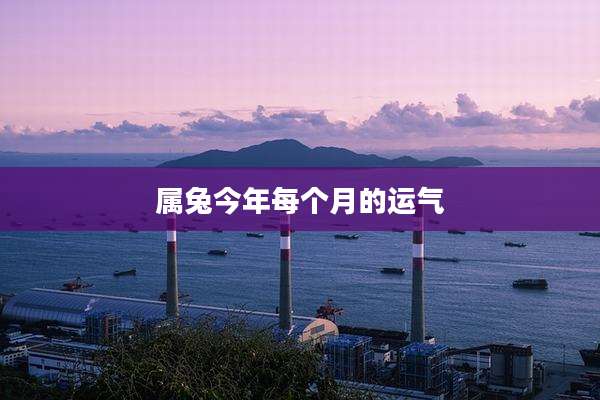 属兔今年每个月的运气
