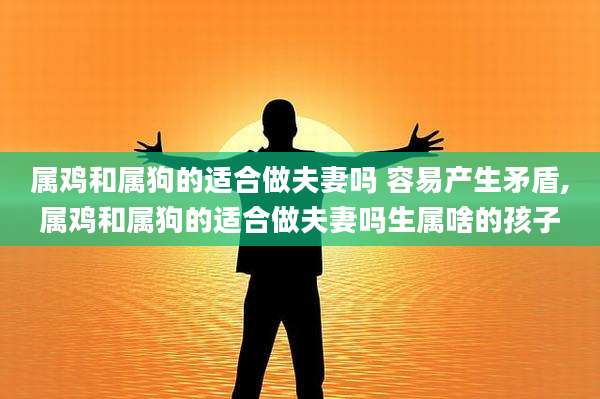 属鸡和属狗的适合做夫妻吗 容易产生矛盾,属鸡和属狗的适合做夫妻吗生属啥的孩子