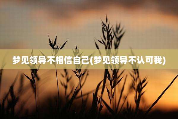 梦见领导不相信自己(梦见领导不认可我)