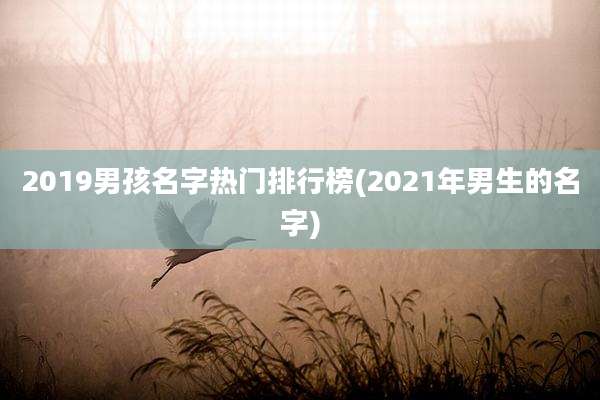 2019男孩名字热门排行榜(2021年男生的名字)