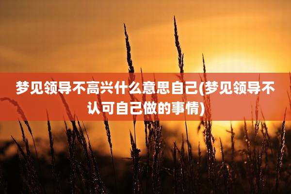 梦见领导不高兴什么意思自己(梦见领导不认可自己做的事情)