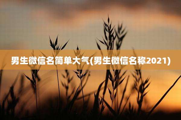 男生微信名简单大气(男生微信名称2021)