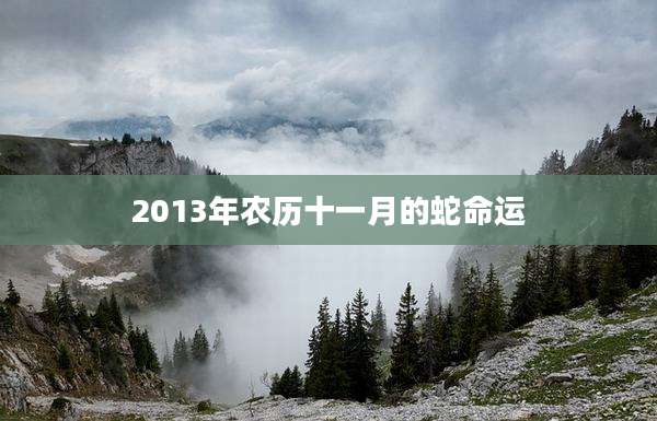 2013年农历十一月的蛇命运